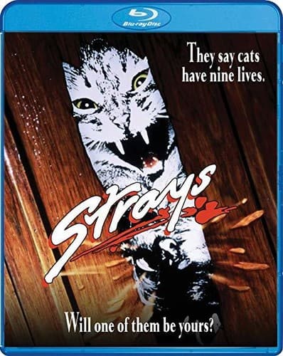 Strays  - BLU-RAY