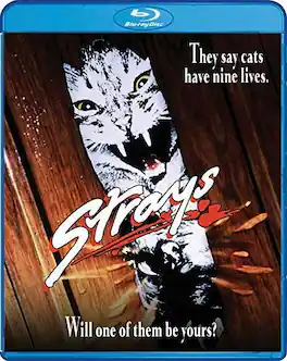 Strays - BLU-RAY