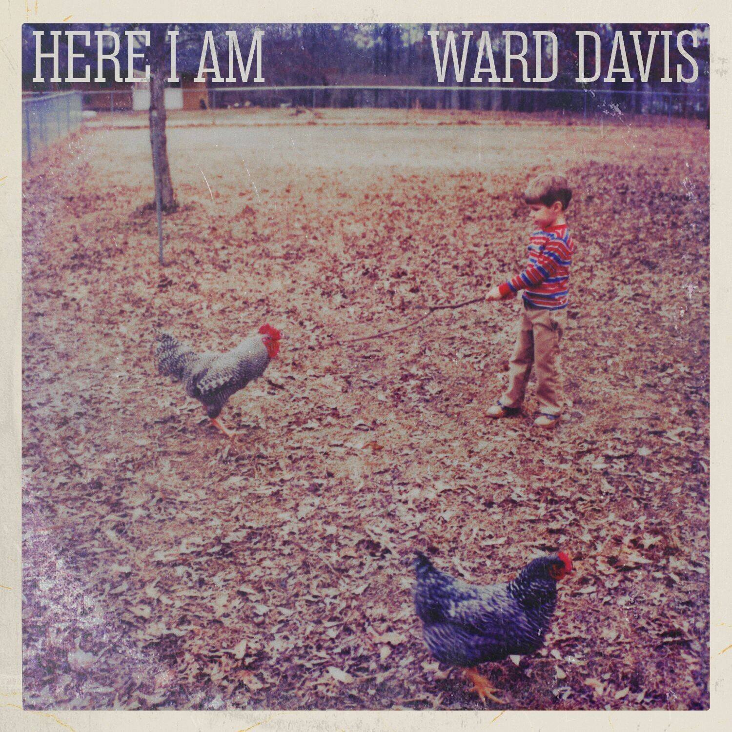 Ward Davis - Here I Am   - COMPACT DISCS [CD] price history on PriceWatchPro