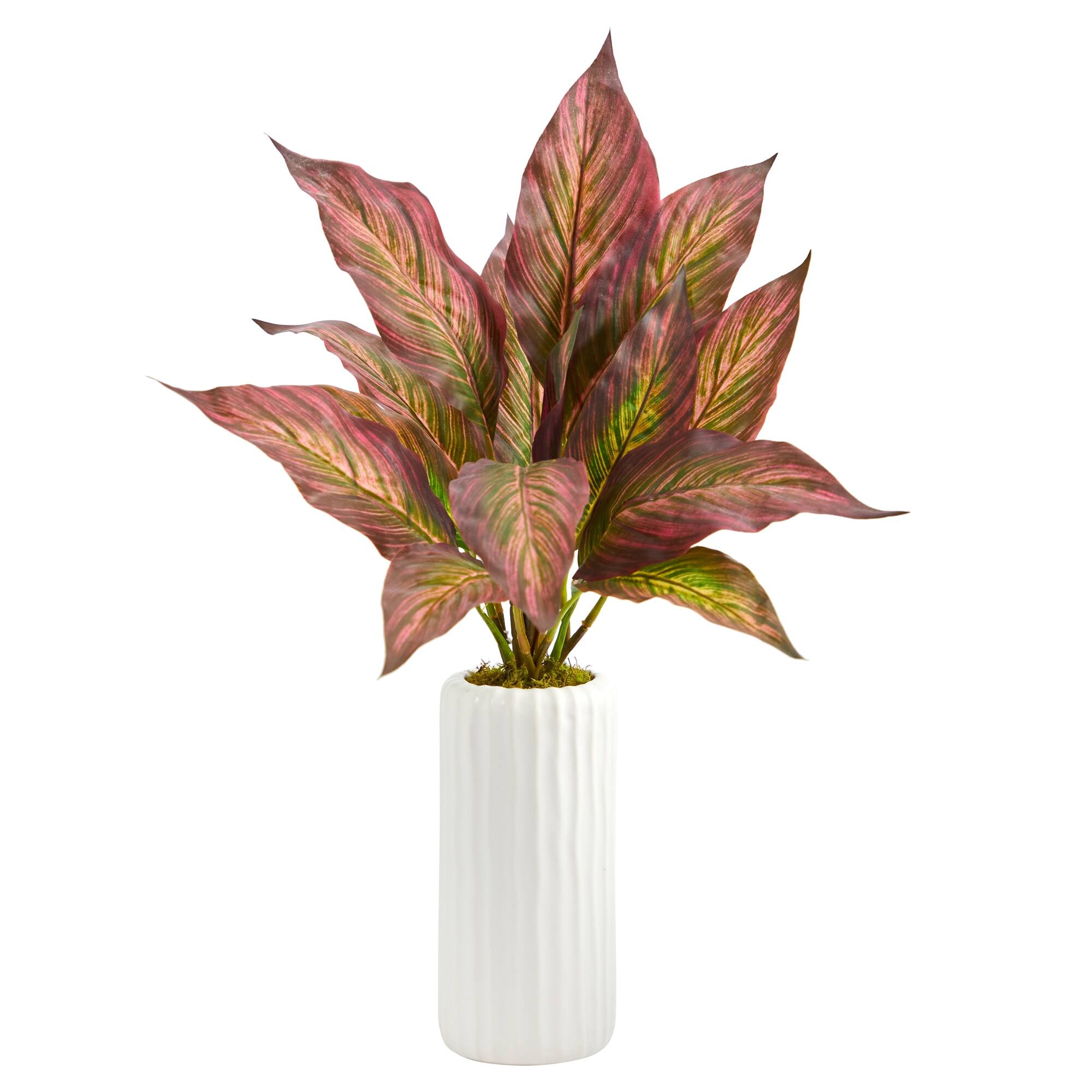 Front. BreeBe - 19" Musa Leaf Artificial Plant in White Planter - purple.