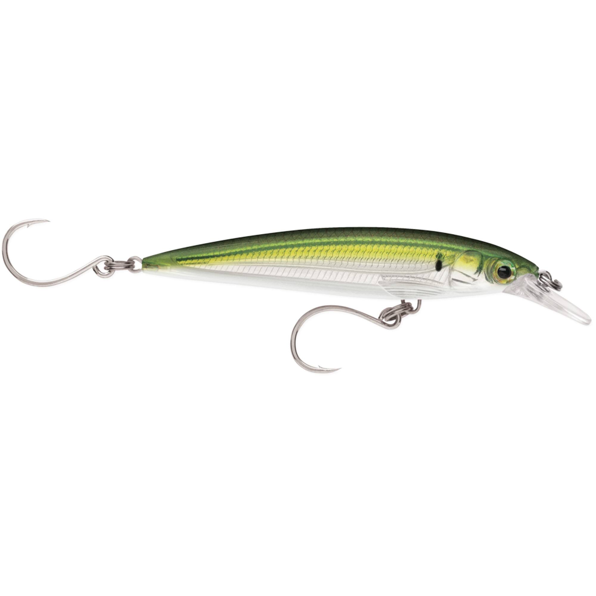 Pilchard
