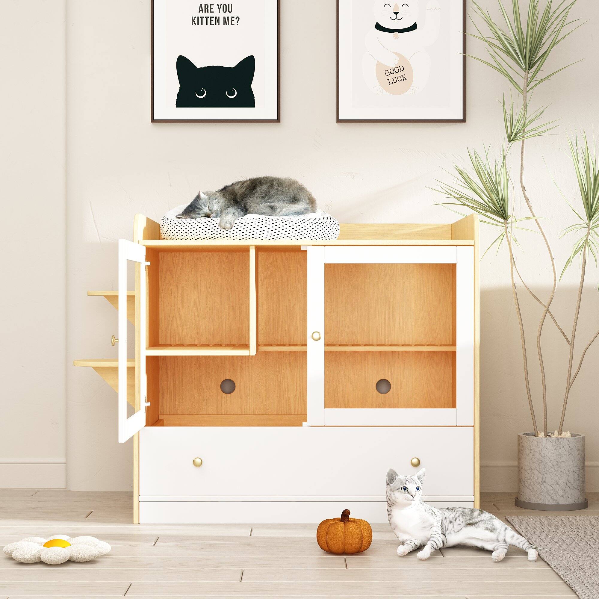 ARE YOU KITTEN ME?

GOOD LUCK