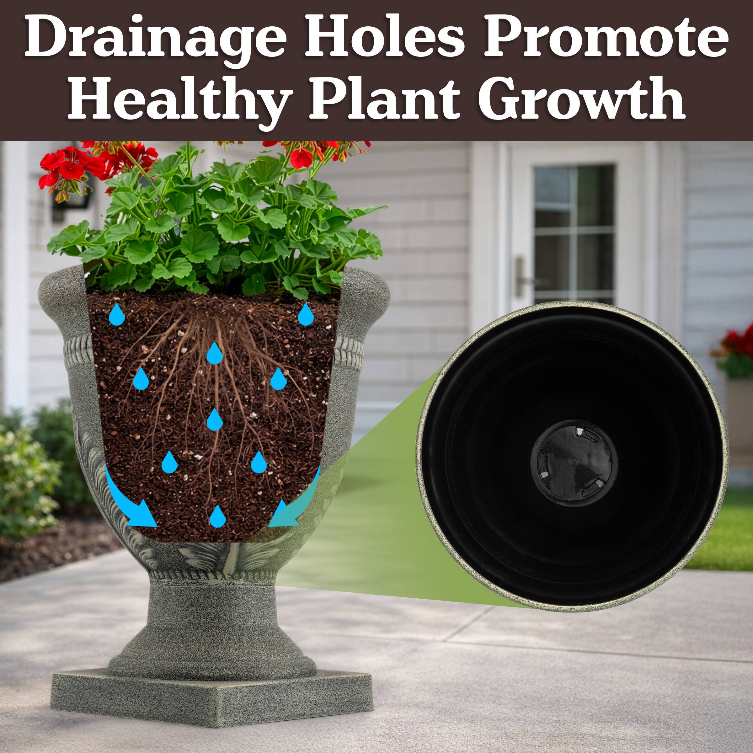 Drainage Holes Promote Healthy Plant Growth