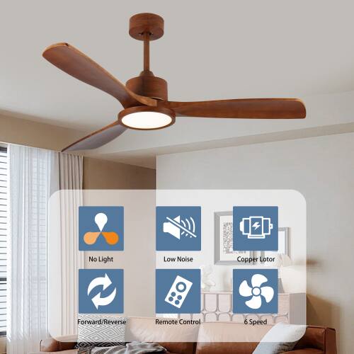 No Light Low Noise Copper Lotor Forward/Reverse Remote Control 6 Speed