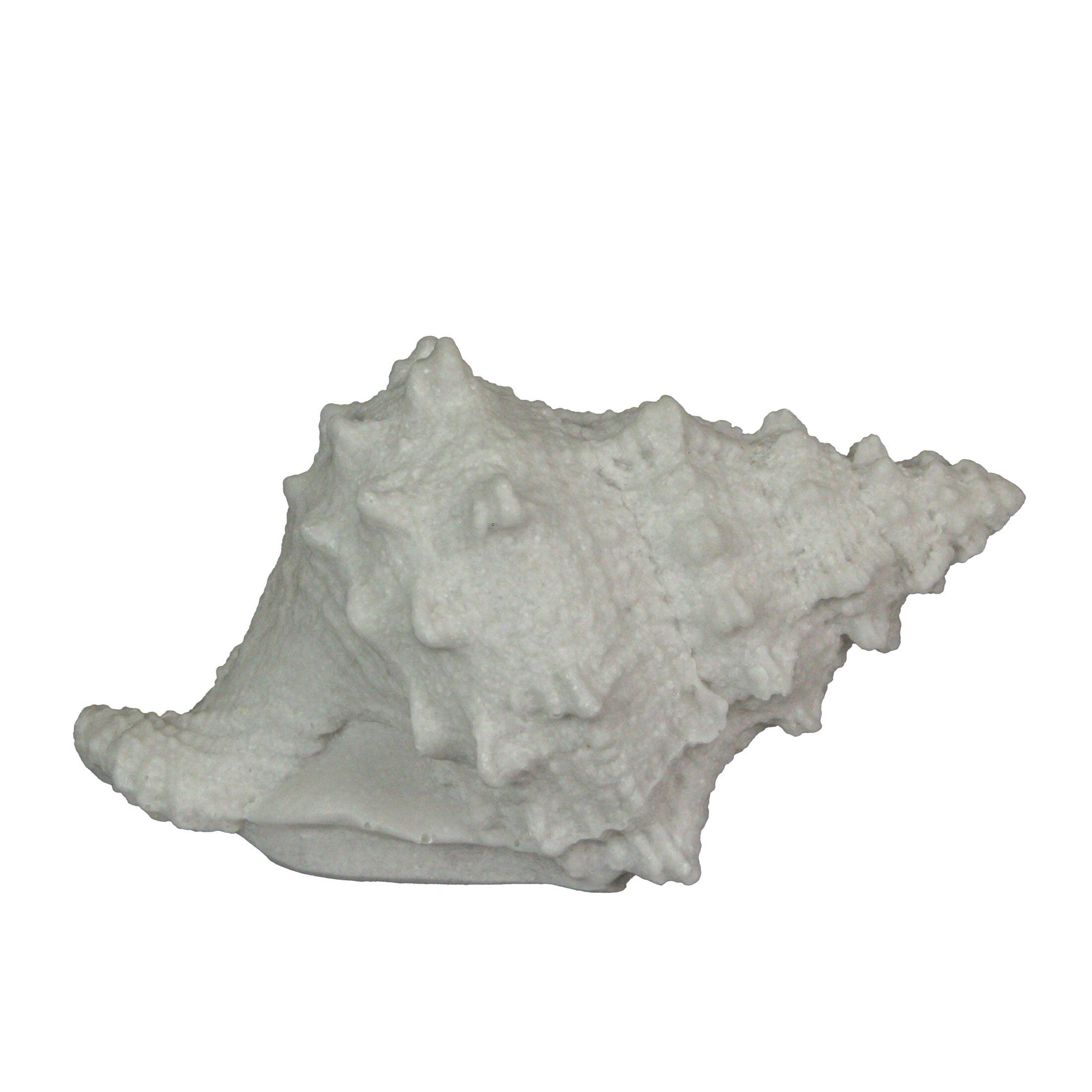 Alt View 1. Contrast Inc. - 8 Inch Resin LED Frog Conch Shell Accent Lamp Decorative Sea Table Light Nautical Home Decor - White.