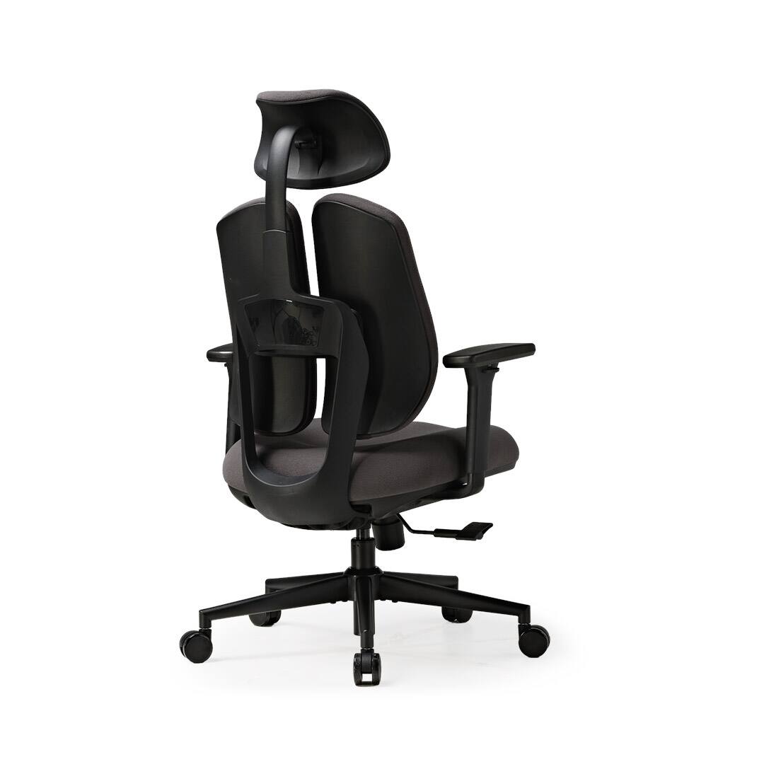 Back. Eureka Ergonomic - Dual Backrests Ergonomic Adjustable Office Chair - Dark Grey.