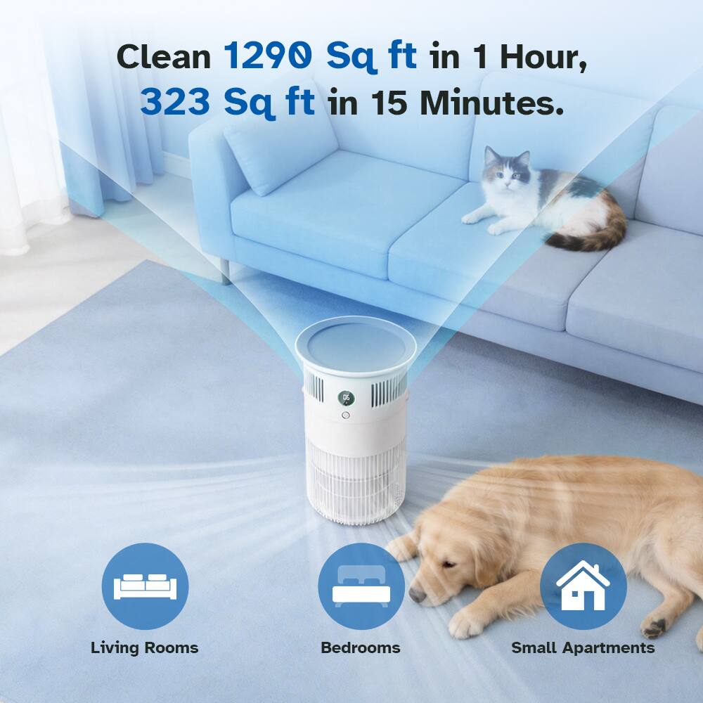 Clean 1290 Sq ft in 1 Hour, 323 Sq ft in 15 Minutes.  
3 Living Rooms Bedrooms Small Apartments