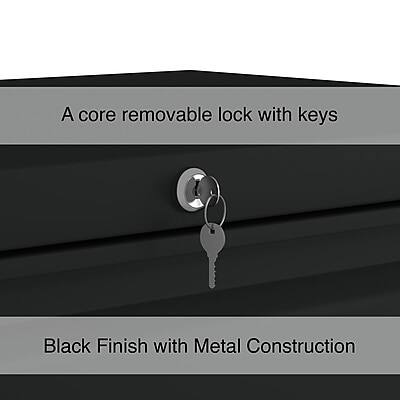 A core removable lock with keys  
Black Finish with Metal Construction