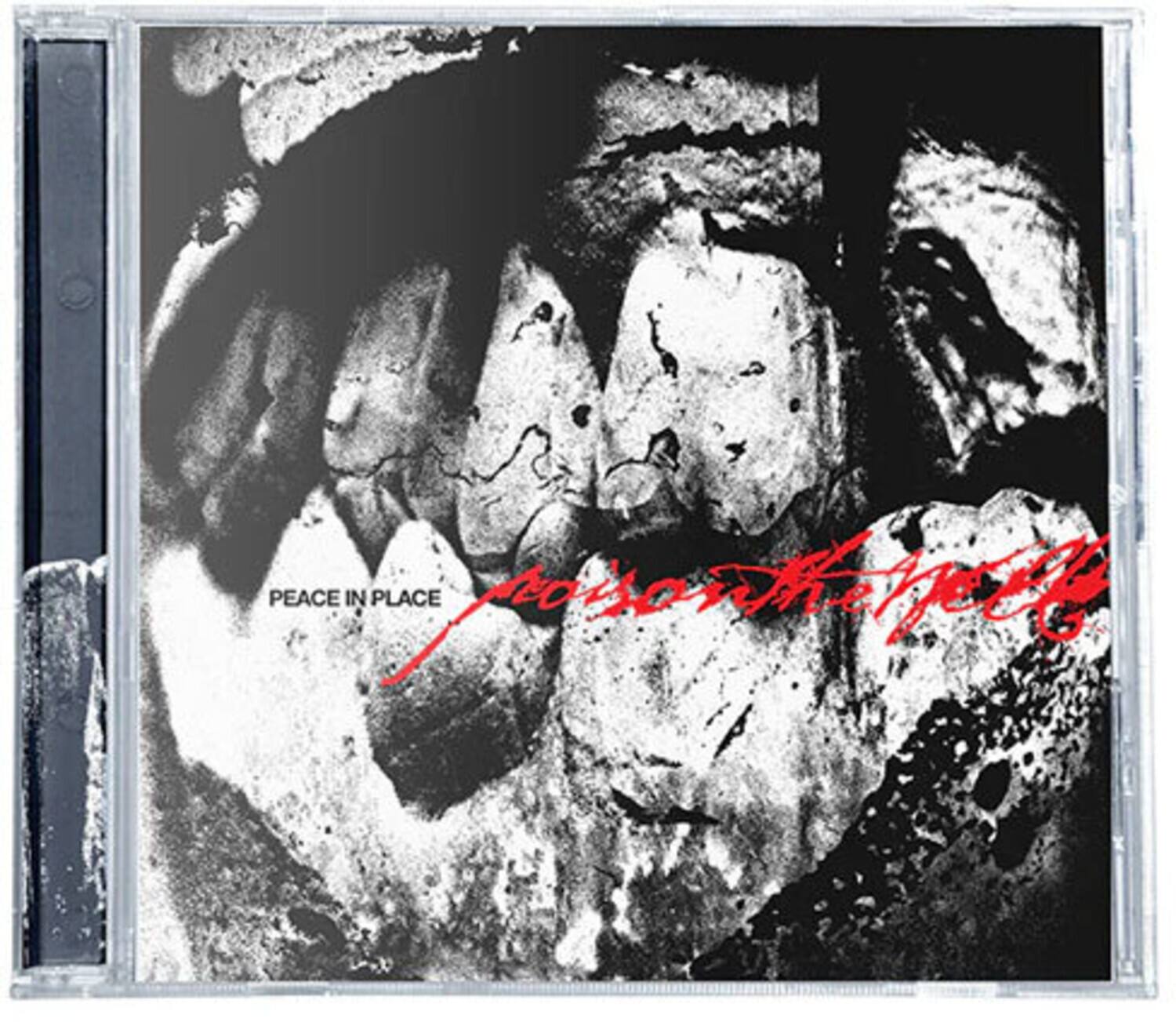 PEACE IN PLACE  
Aerosmith