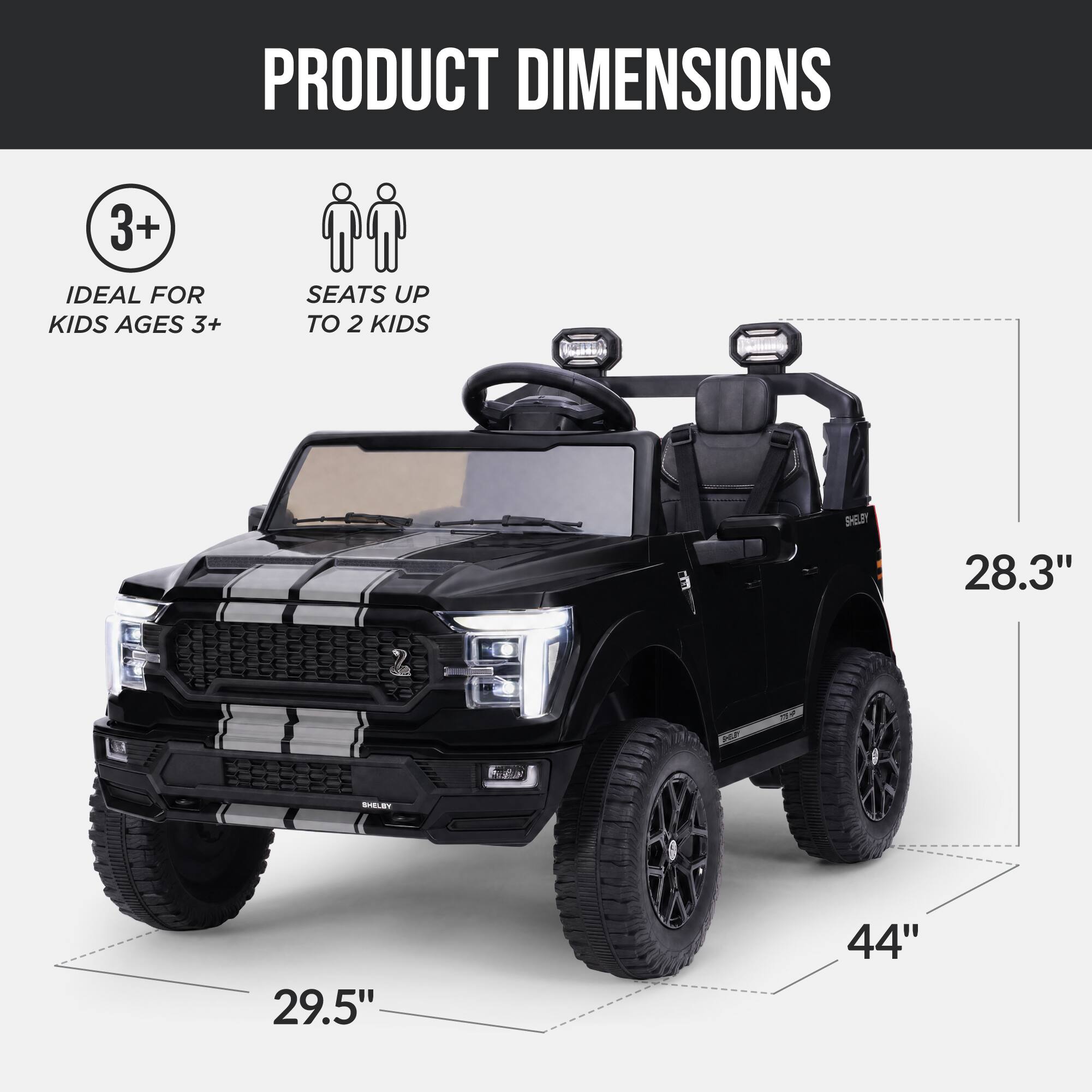 PRODUCT DIMENSIONS

3+
IDEAL FOR KIDS AGES 3+
SEATS UP TO 2 KIDS

SHELBY
28.3"
29.5"
44"