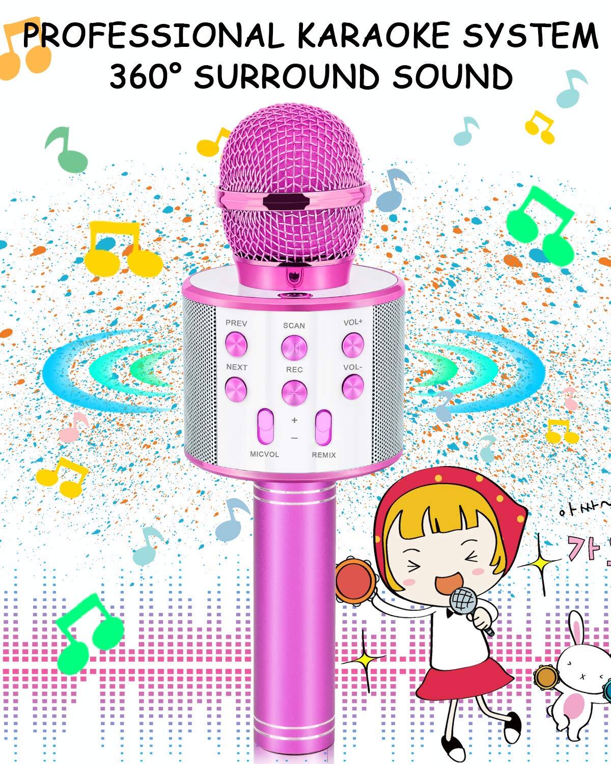 PROFESSIONAL KARAOKE SYSTEM  
360° SURROUND SOUND  

- PREV  
- SCAN  
- VOL+  
- VOL-  
- NEXT  
- REC  
- REMIX  
- MICVOL
