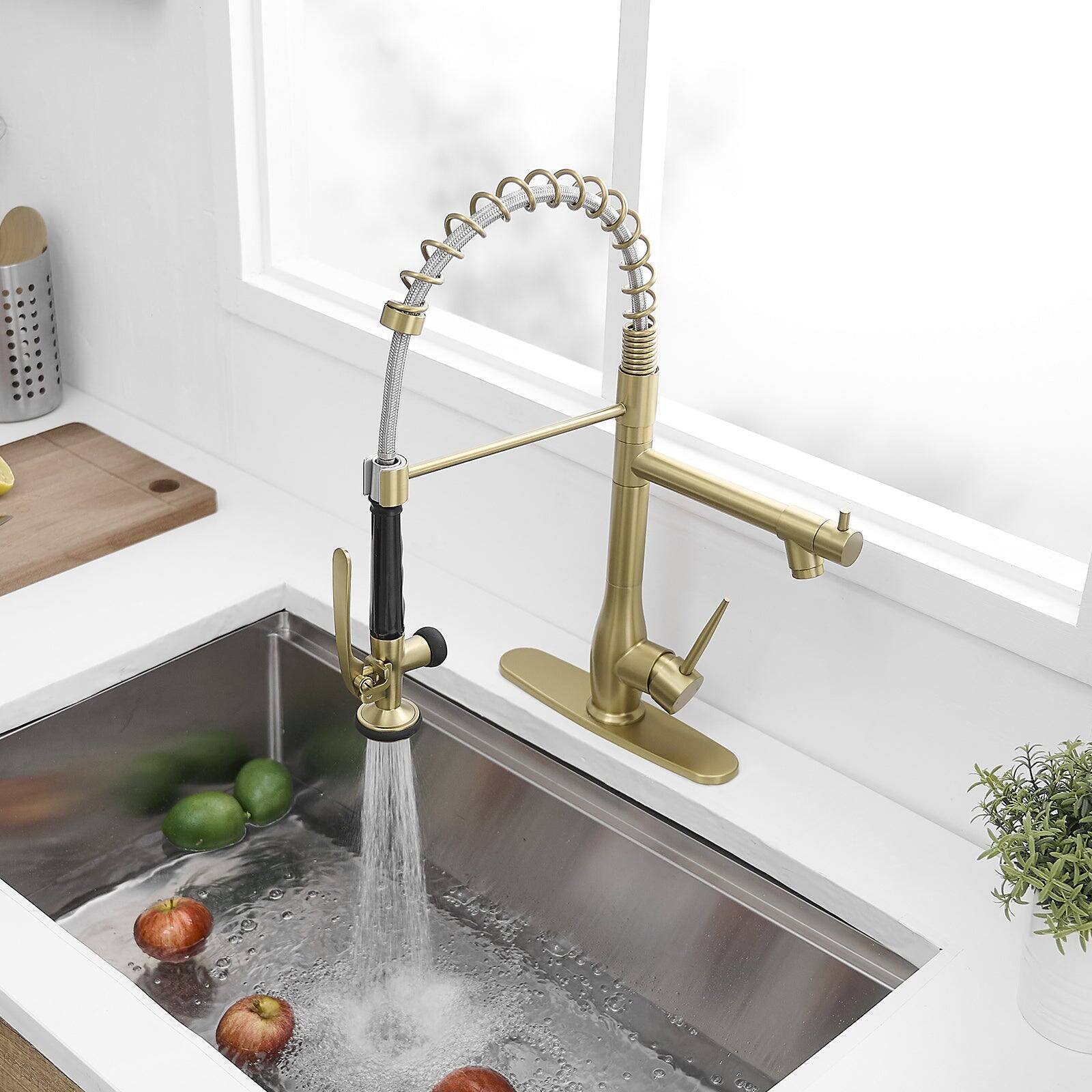 Pull Down Kitchen Faucet with Deck Plate Single Handle Spring Design