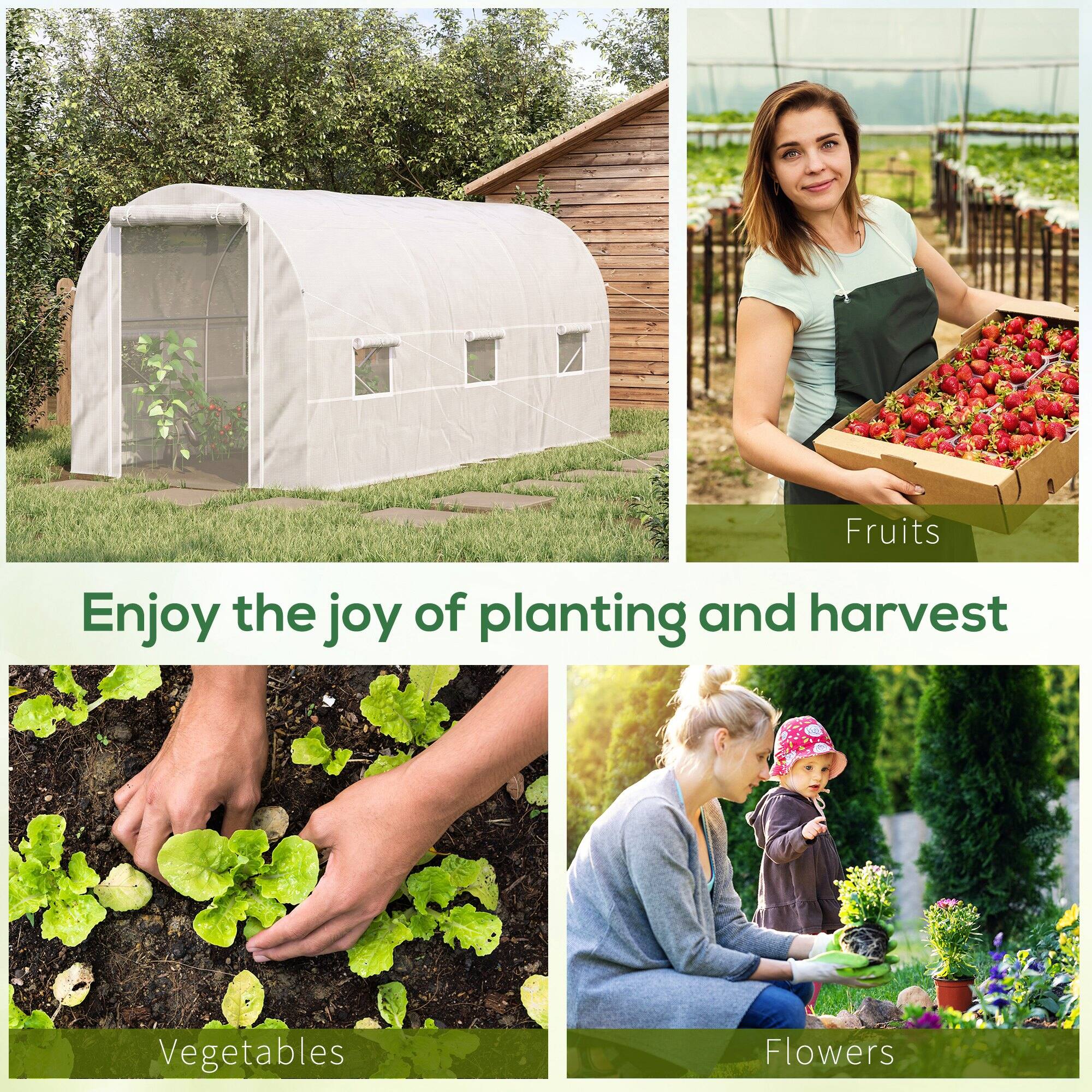 Enjoy the joy of planting and harvest

Fruits

Vegetables

Flowers