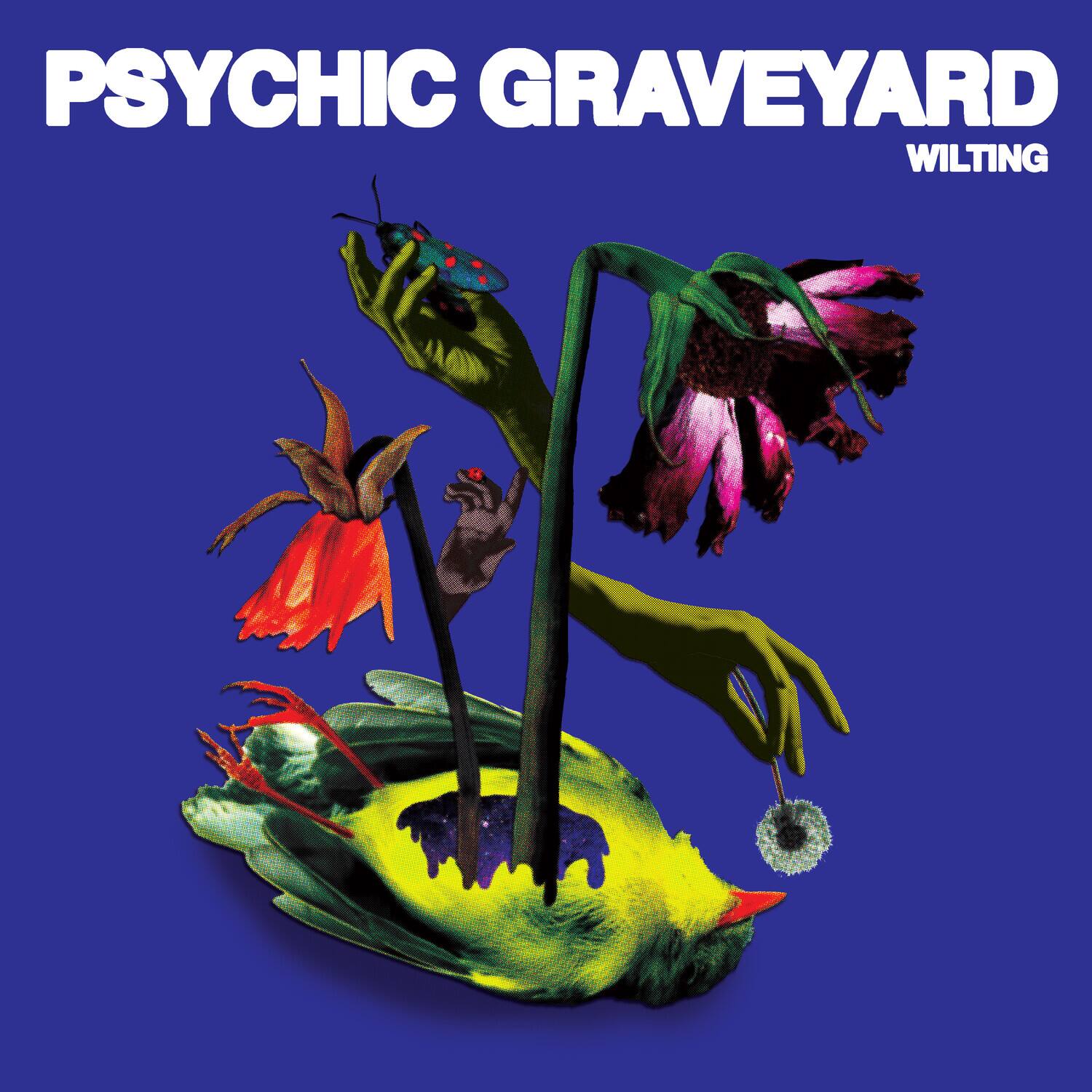 Psychic Graveyard & USA Nails - Wilting - VINYL LP