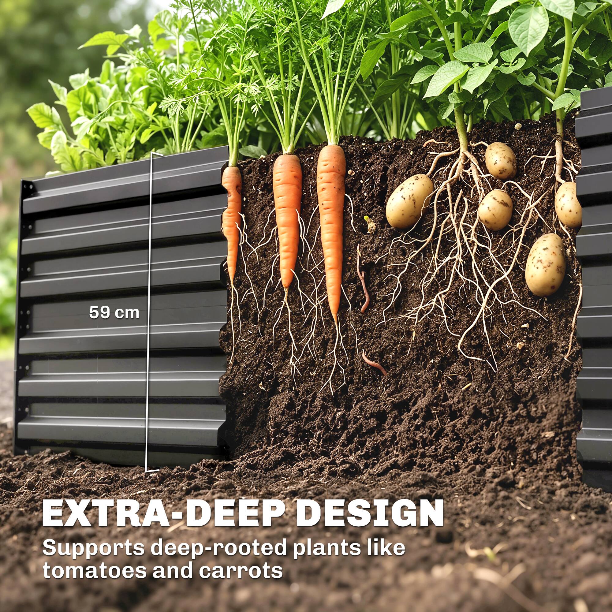 59 cm EXTRA-DEEP DESIGN  
Supports deep-rooted plants like tomatoes and carrots