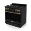 The text on the image reads "200 4 a G THOR." This text is likely a reference to the brand name "Thor" and the model number "200" for the oven. The oven is a black gas stove with a digital display and gold knobs.