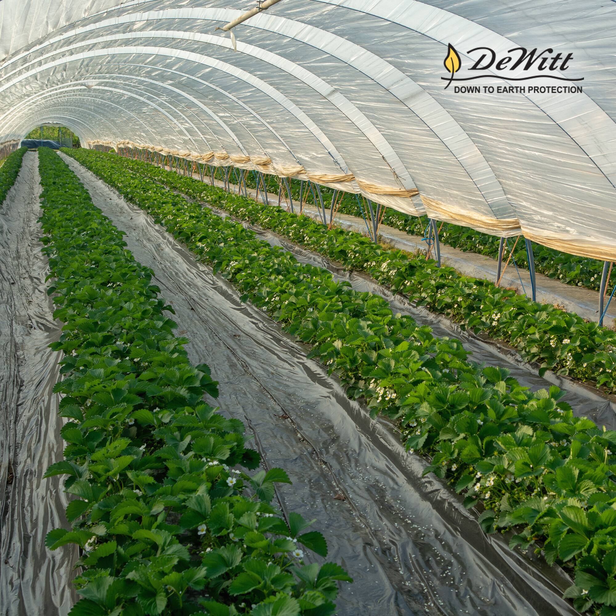 DeWitt  
DOWN TO EARTH PROTECTION