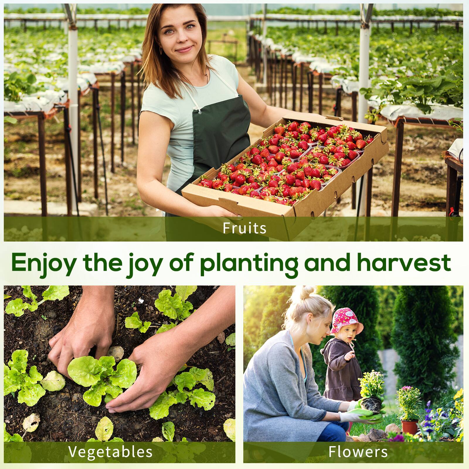Fruits, Vegetables, Flowers, Enjoy the joy of planting and harvest
