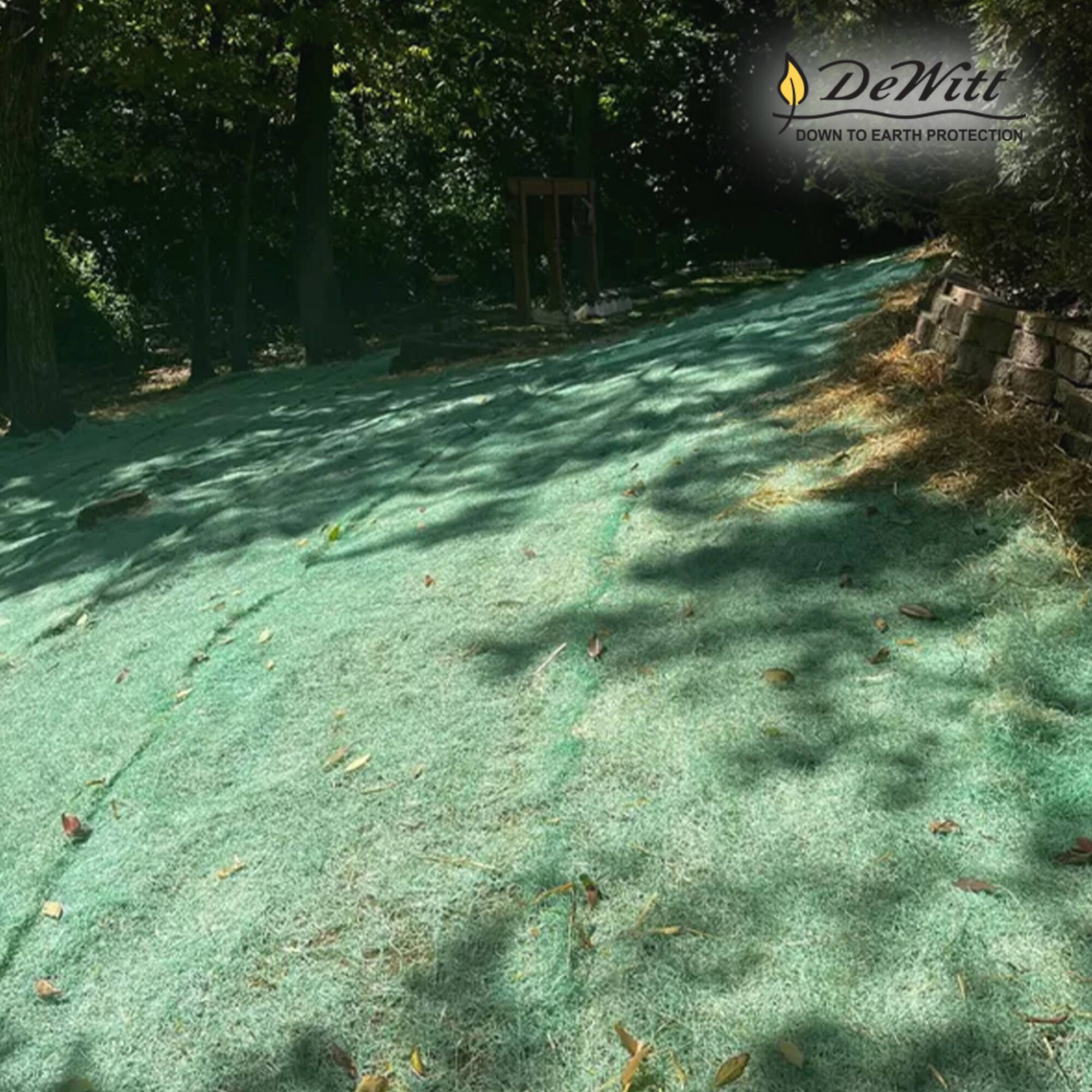 DeWitt  
DOWN TO EARTH PROTECTION