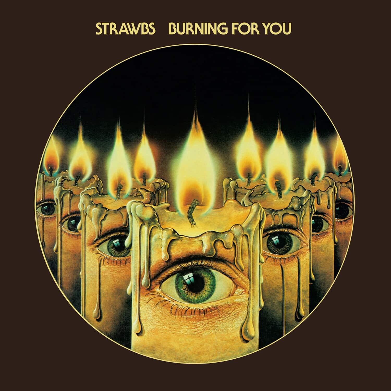 The Strawbs - Burning For You: Remastered & Expanded Edition   - COMPACT DISCS [CD] price history on PriceWatchPro