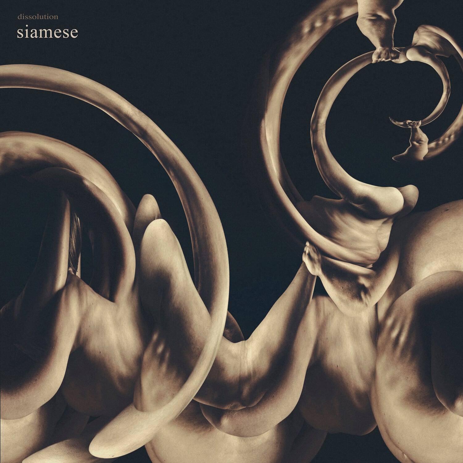 Siamese - Dissolution   - COMPACT DISCS [CD] price history on PriceWatchPro