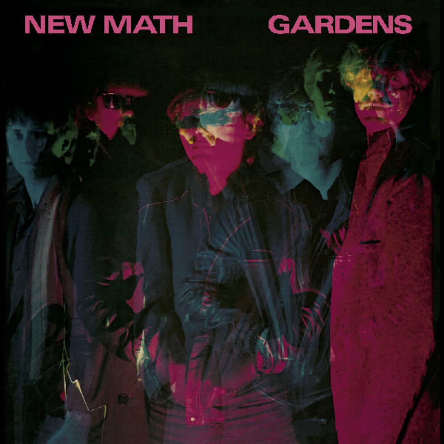 New Math - Gardens   - VINYL LP price history on PriceWatchPro