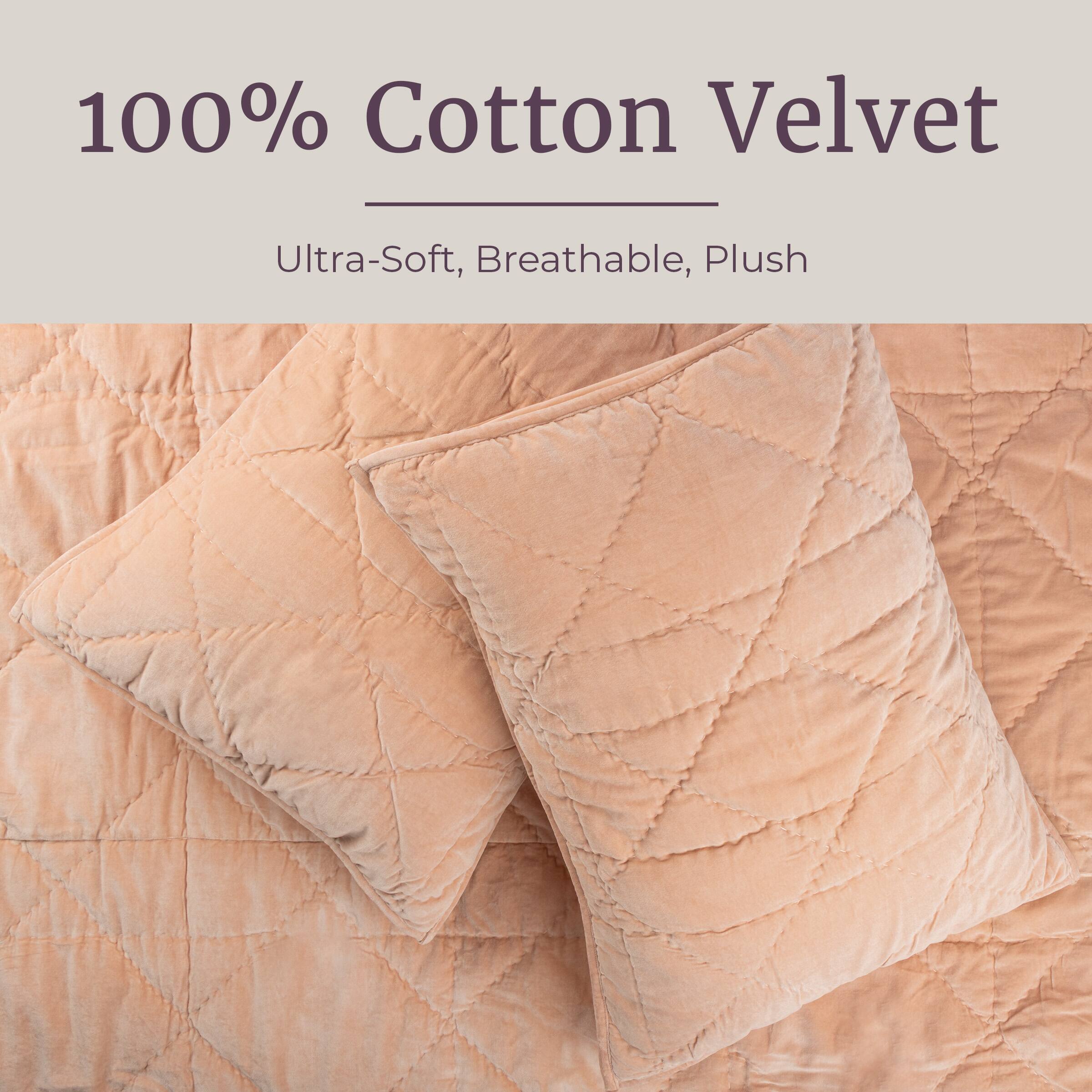 100% Cotton Velvet  
Ultra-Soft, Breathable, Plush