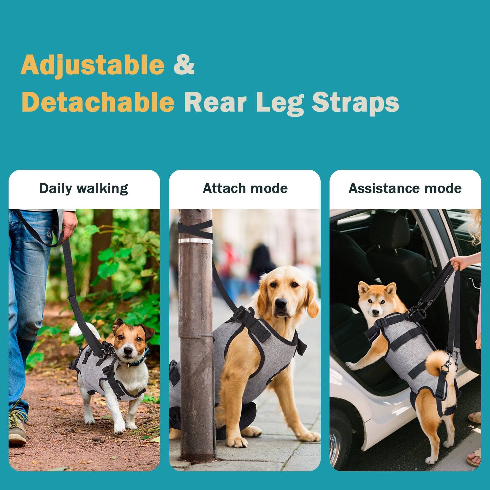 Adjustable & Detachable Rear Leg Straps

- Daily walking
- Attach mode
- Assistance mode