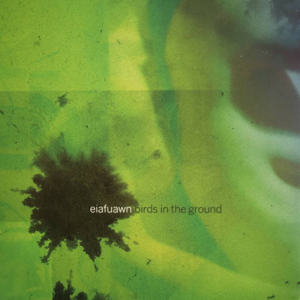 Front. Birds in the Ground [LP].