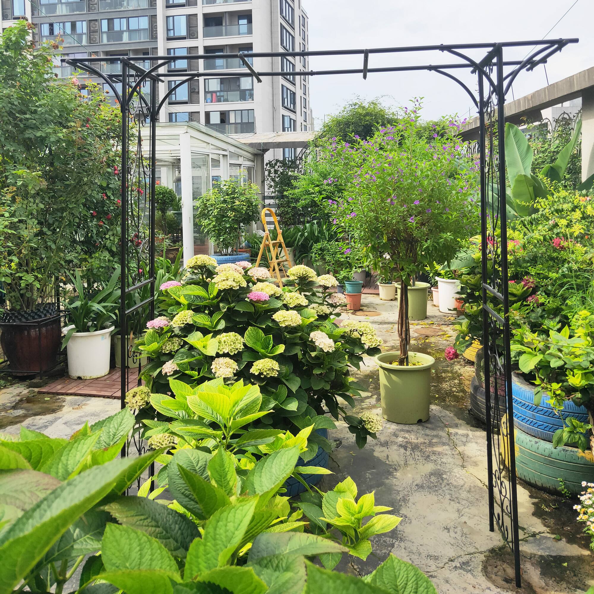 Angle. Loheer - 6.69 x 1.71 x 6.76 ft Metal Garden Arch Plant Support Trellis for Outdoor Wedding Garden - Black.