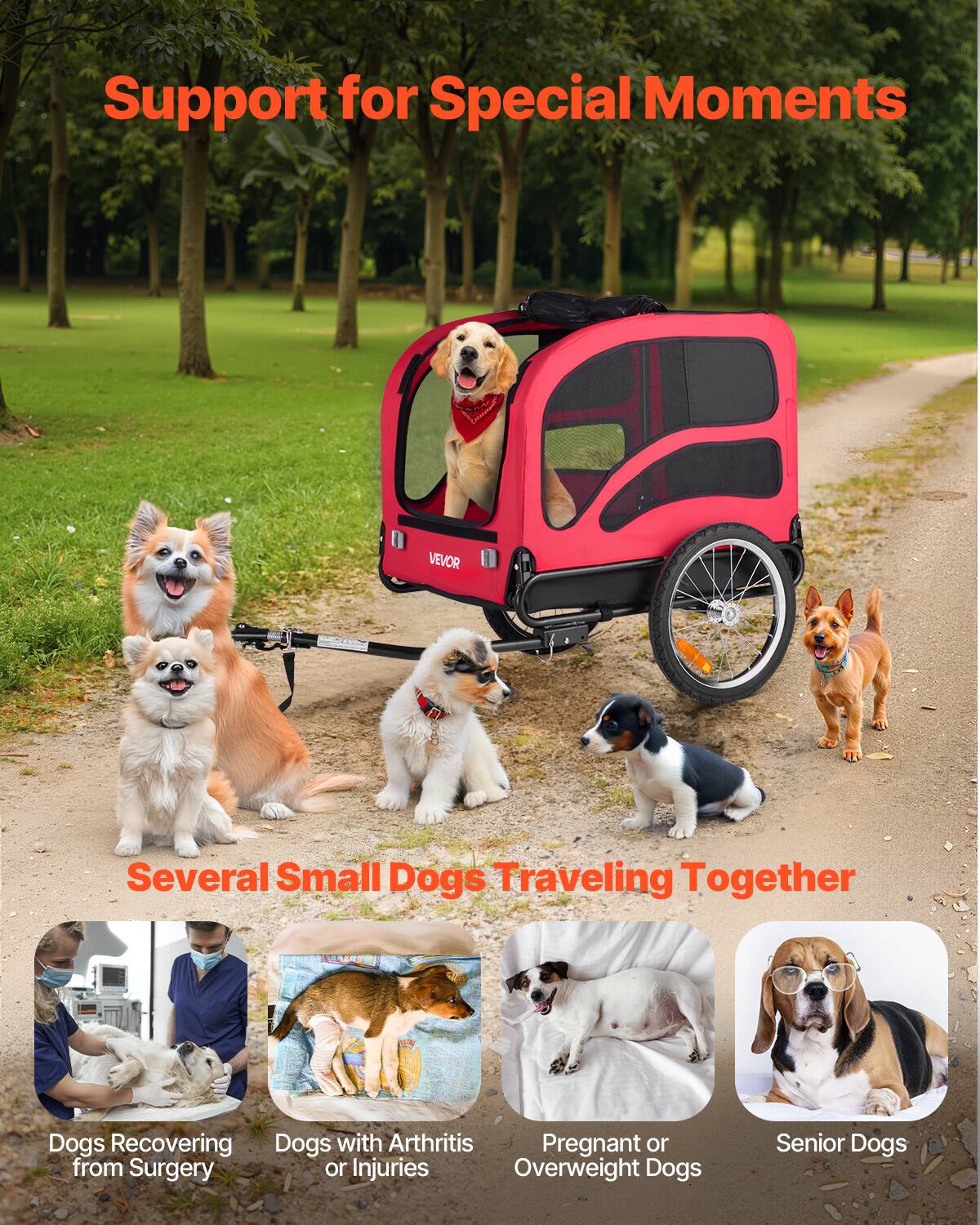 Support for Special Moments

Several Small Dogs Traveling Together

- Dogs Recovering from Surgery
- Dogs with Arthritis or Injuries
- Pregnant or Overweight Dogs
- Senior Dogs