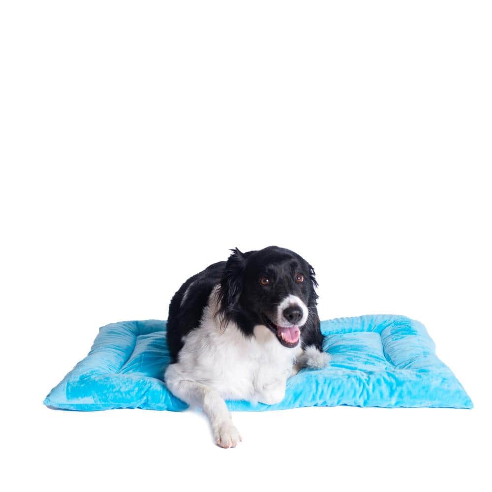 Armarkat - Large Pet Bed Mat With Poly Fill Cushion In Sky - Blue