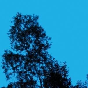 Front. A Republic of Sadness [LP].