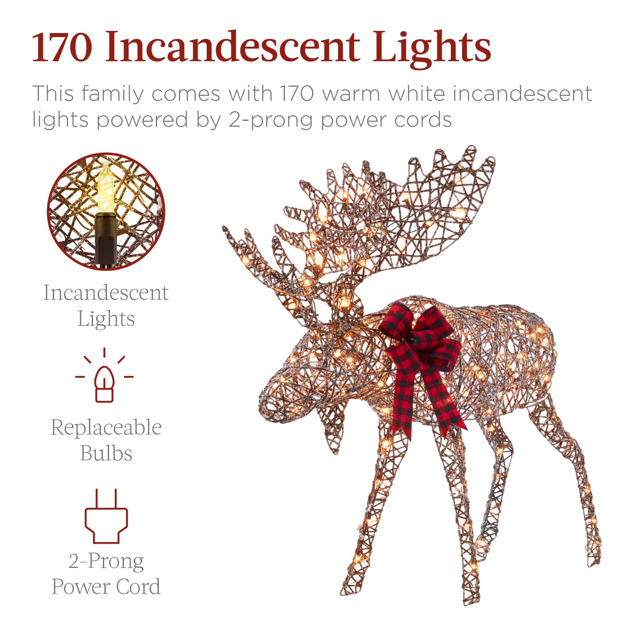 170 Incandescent Lights

This family comes with 170 warm white incandescent lights powered by 2-prong power cords

- Incandescent Lights
- Replaceable Bulbs
- 2-Prong Power Cord