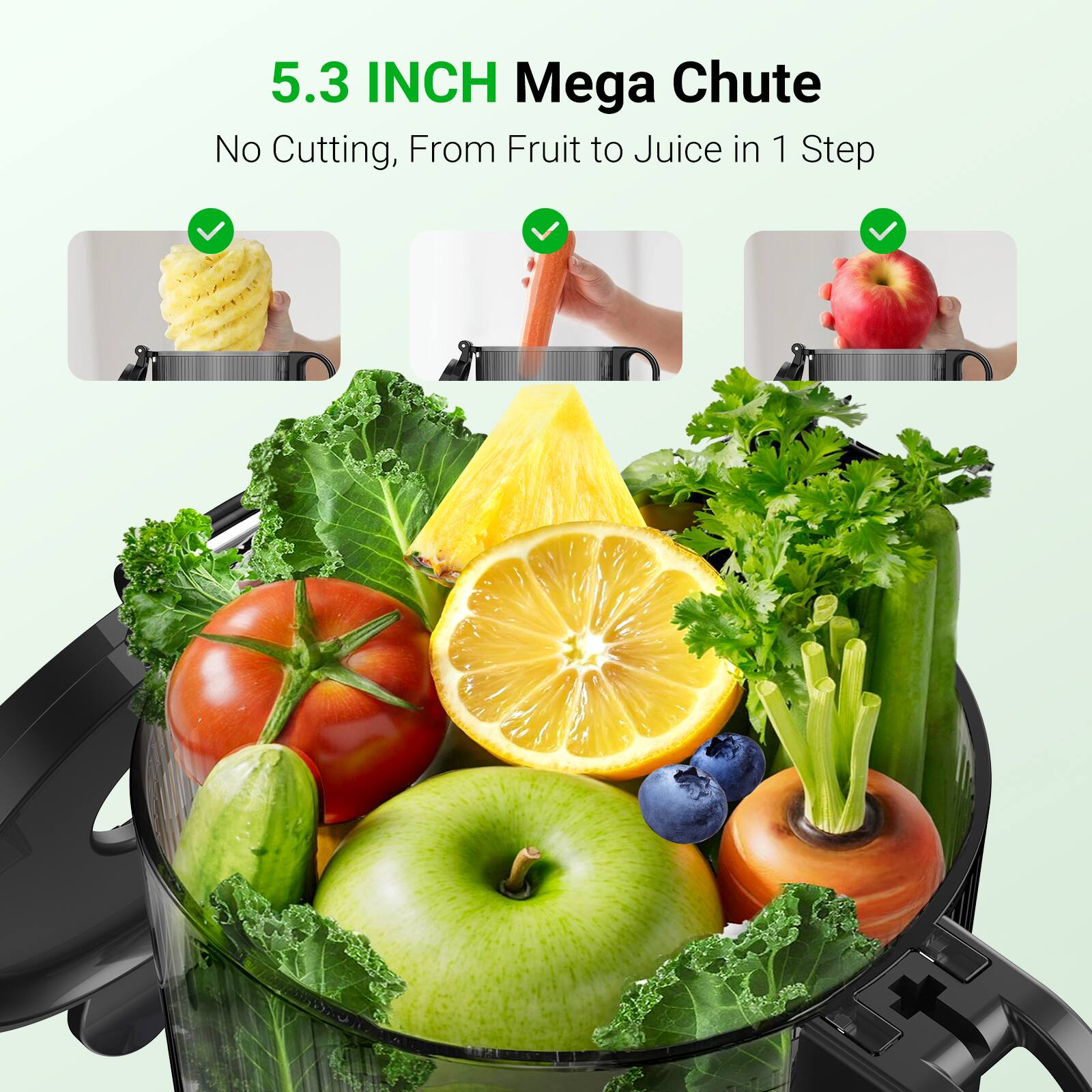 5.3 INCH Mega Chute  
No Cutting, From Fruit to Juice in 1 Step
