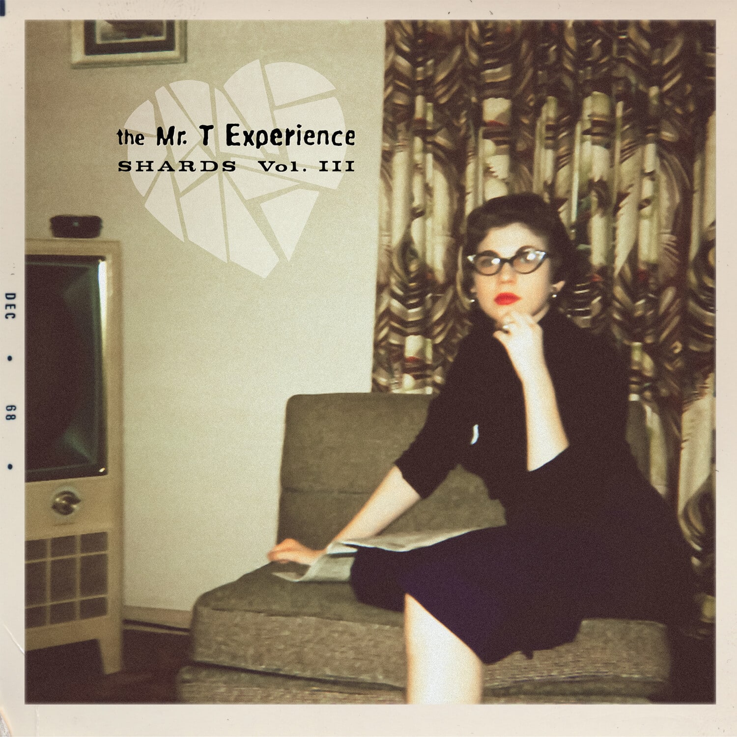 The Mr. T Experience - Shards Vol. 3  - COMPACT DISCS