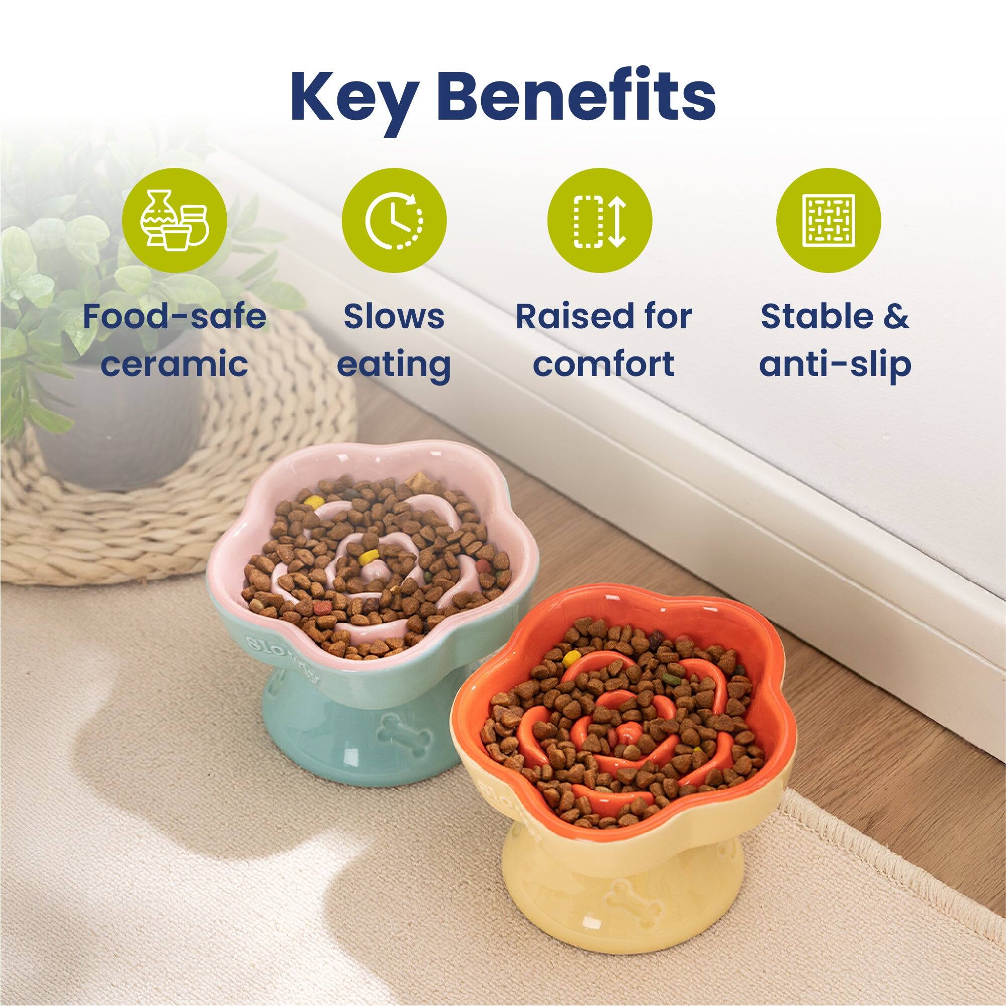 Key Benefits
- Food-safe ceramic
- Slows eating
- Raised for comfort
- Stable & anti-slip
