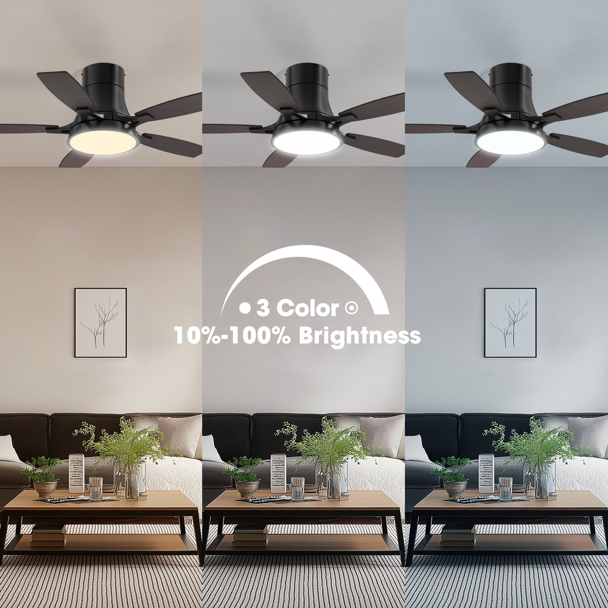 3 Color  
10%-100% Brightness