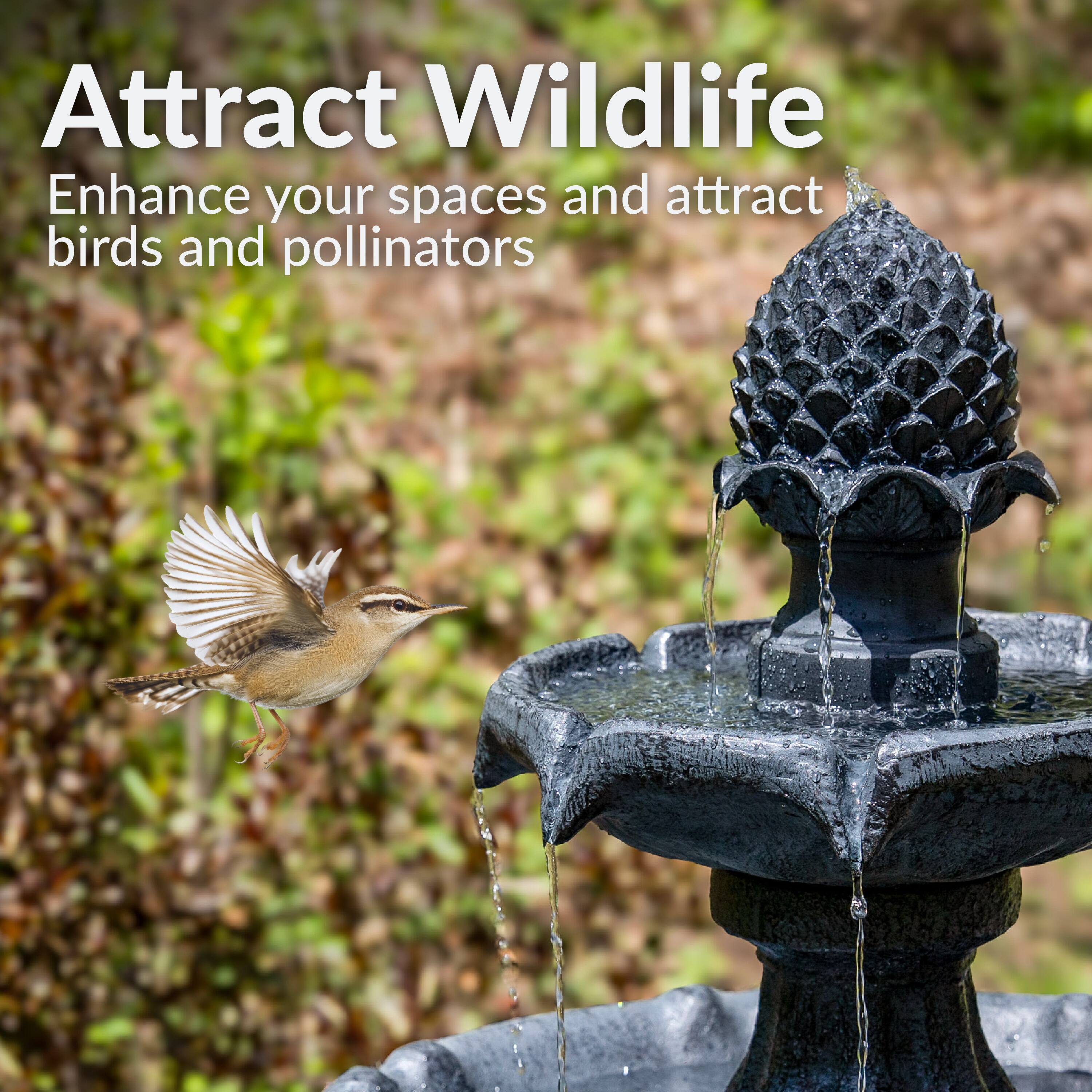 Attract Wildlife  
Enhance your spaces and attract birds and pollinators