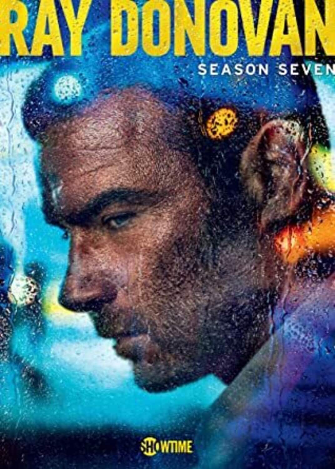 Ray Donovan: Season Seven  - DVD
