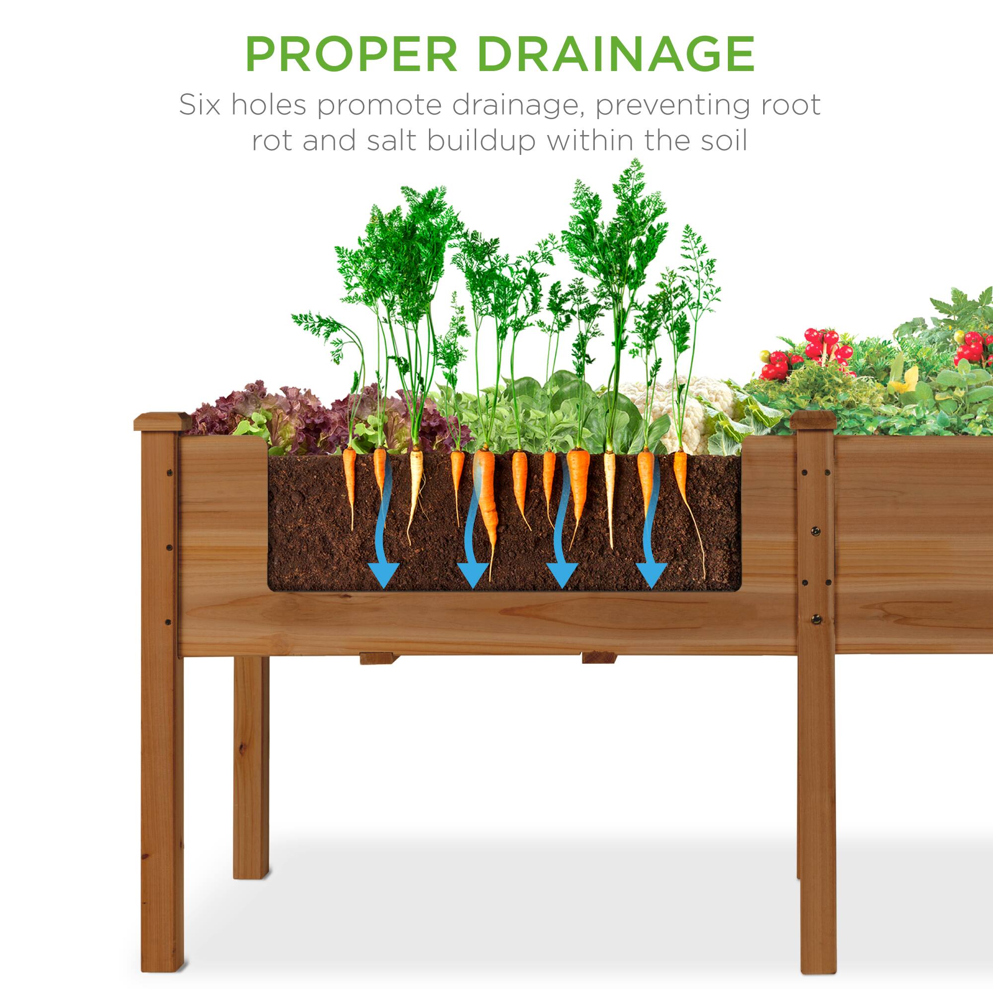 PROPER DRAINAGE  
Six holes promote drainage, preventing root rot and salt buildup within the soil