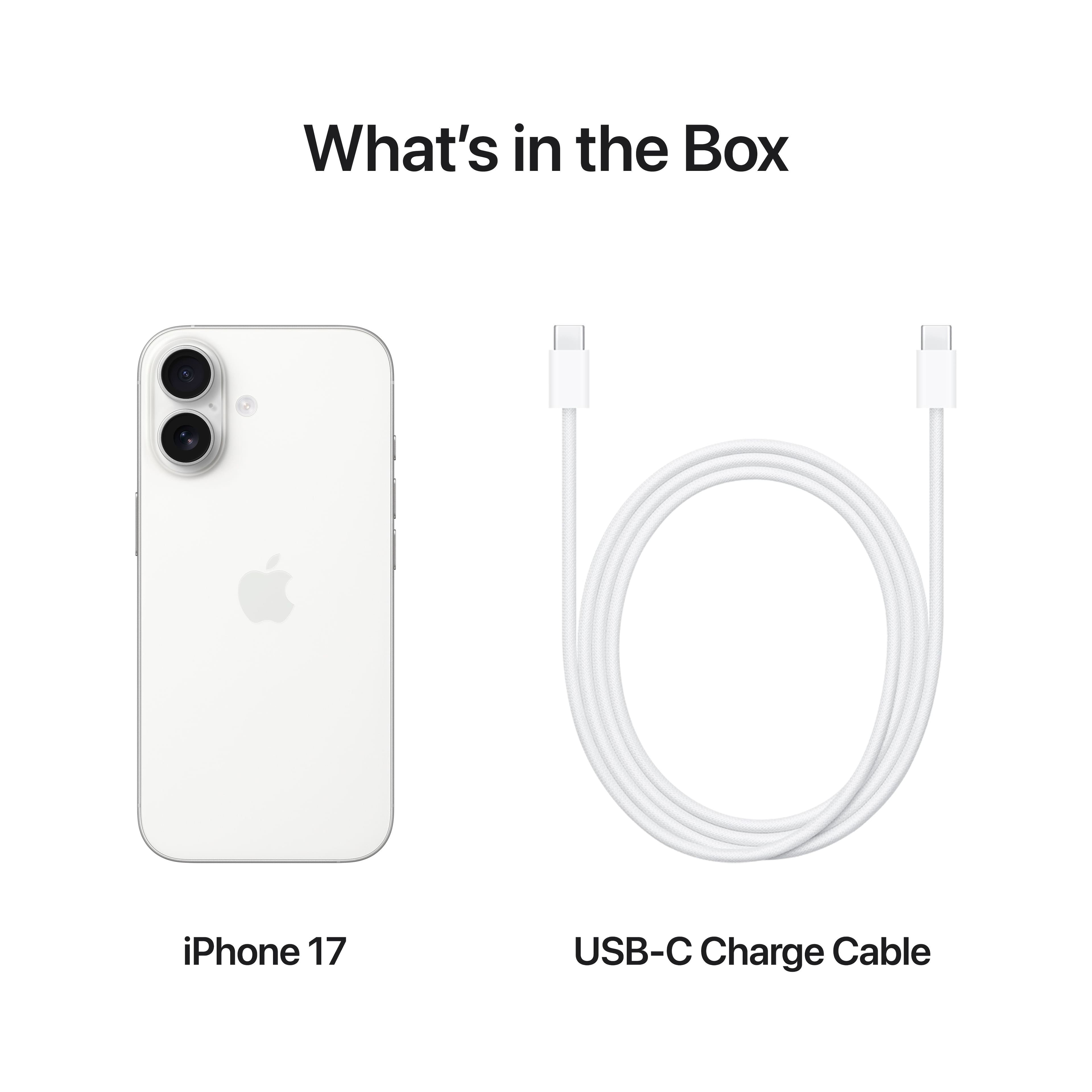 【新品未開封】Apple iPhone 17 256GB ホワイト 69034395-1.jpg?sw=1000&sh=1000