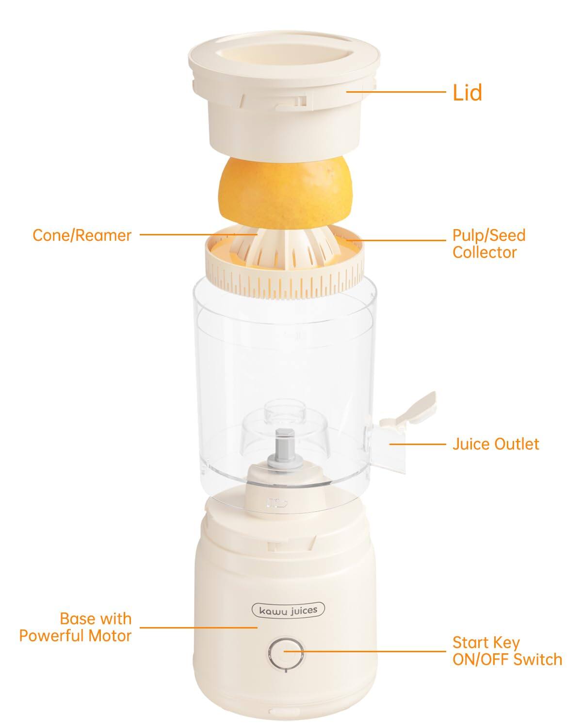 Lid  
Cone/Reamer  
Pulp/Seed Collector  
Juice Outlet  
Base with Powerful Motor  
Start Key ON/OFF Switch
