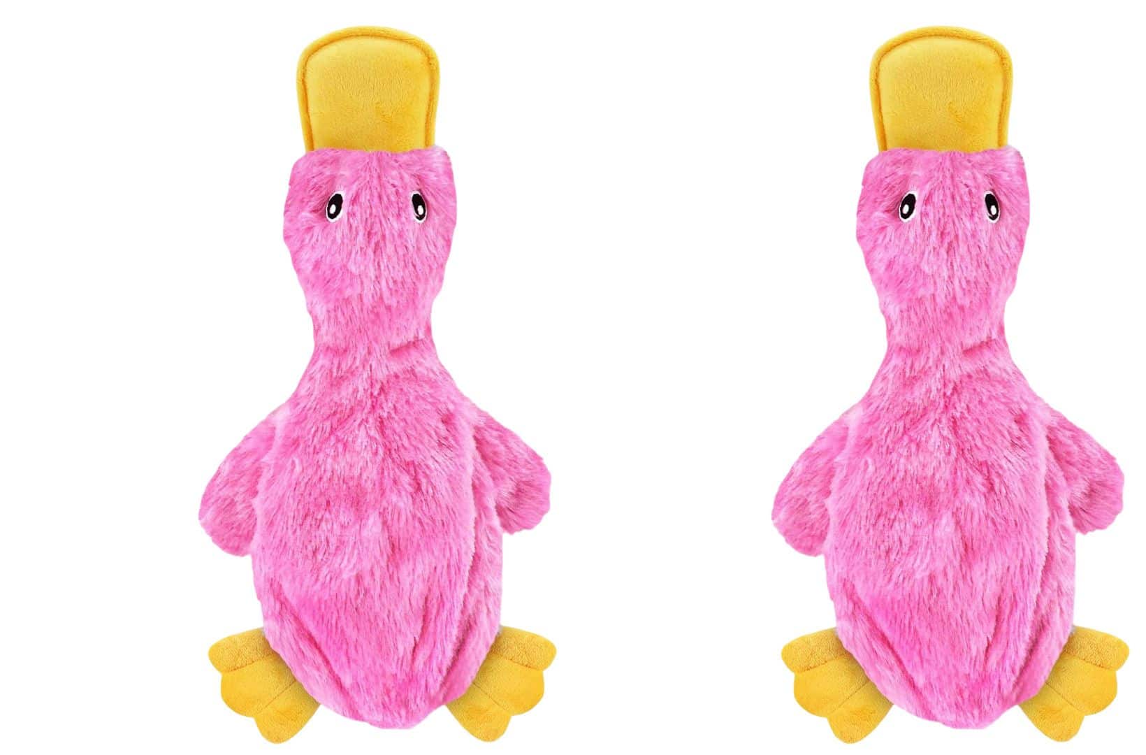 Link - Active Crinkle Dog Toy for Small, Medium, and Large Breeds, Cute No Stuffing Duck with Soft Squeaker (2 Pack) - Pink