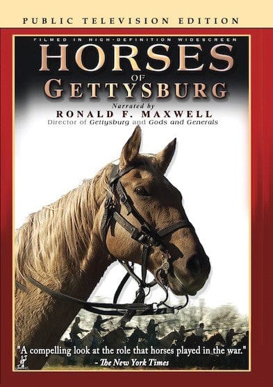 Horses of Gettysburg (Public Television Edition) (MOD) (DVD price history on PriceWatchPro