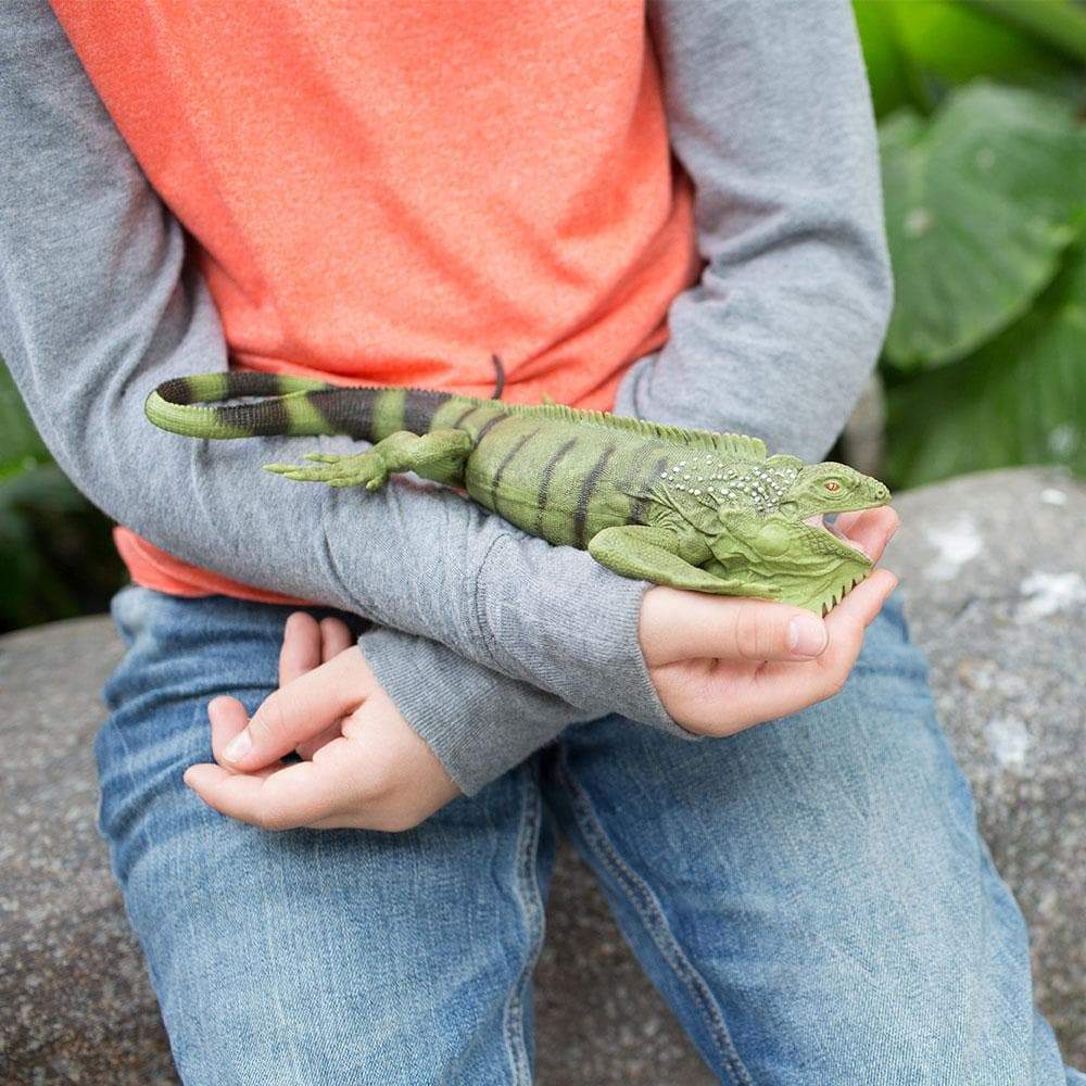Alt View 2. Safari Ltd. - Iguana Toy Figurine.