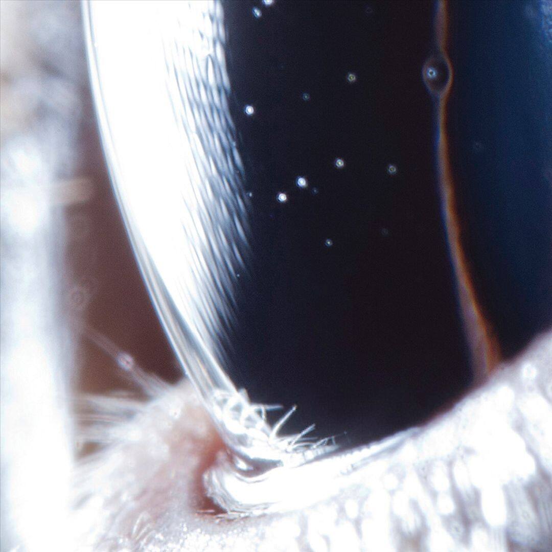 Front. Third Law [LP].