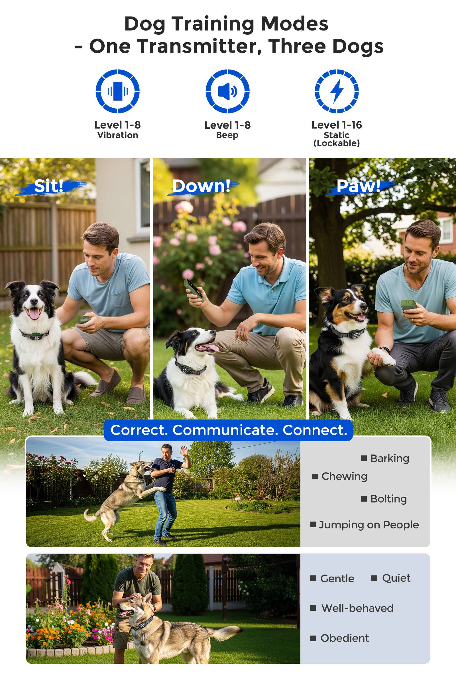 Dog Training Modes  
- One Transmitter, Three Dogs  

Level 1-8 Vibration  
Level 1-8 Beep  
Level 1-16 Static (Lockable)  

Sit!  
Down!  
Paw!  

Correct. Communicate. Connect.  

- Barking  
- Chewing  
- Bolting  
- Jumping on People  

- Gentle  
- Quiet  
- Well-behaved  
- Obedient