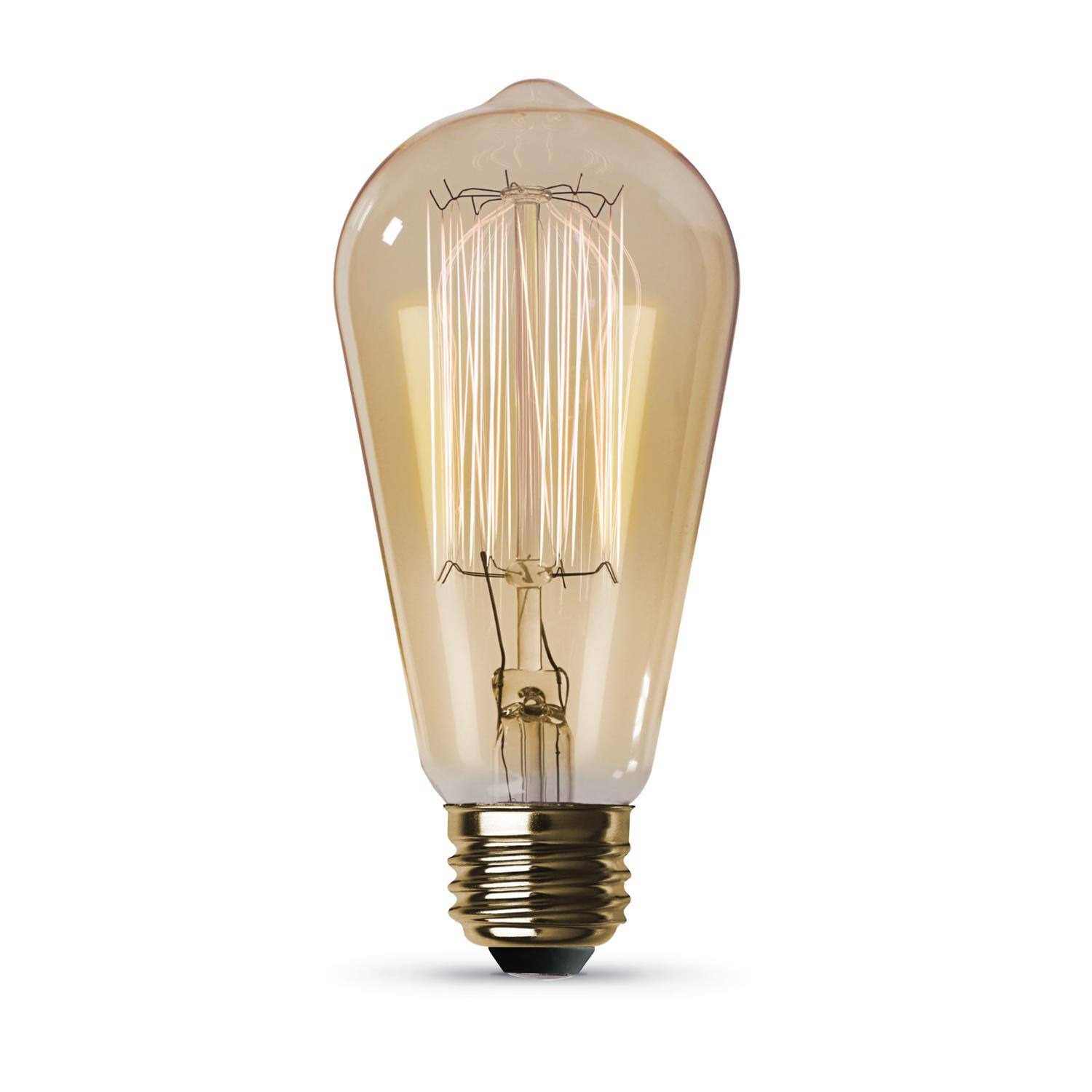 Angle. FEIT ELECTRIC - Feit The Original 40 W ST19 Vintage Incandescent Bulb E26 (Medium) Soft White 1 pk.