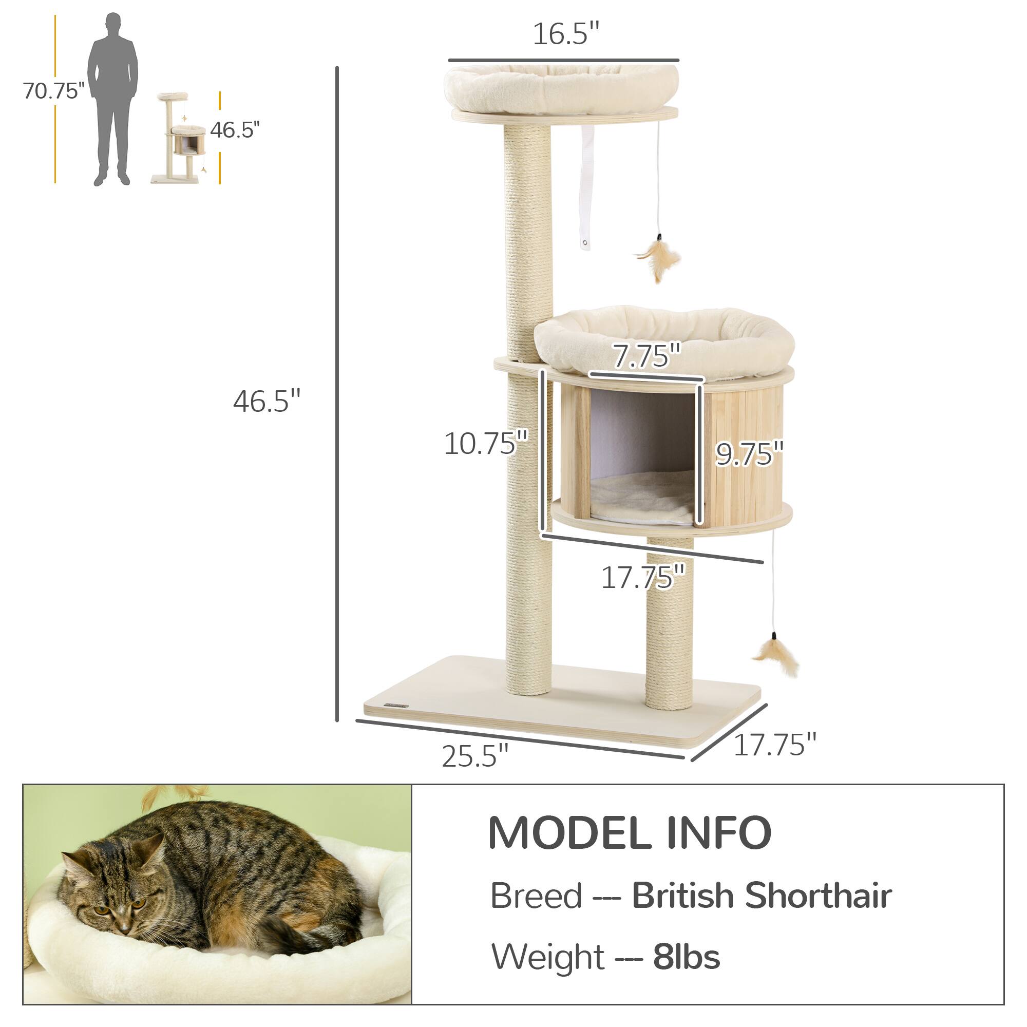 16.5"  
70.75"  
46.5"  
46.5"  
10.75"  
7.75"  
9.75"  
17.75"  
25.5"  
17.75"  

MODEL INFO  
Breed — British Shorthair  
Weight — 8lbs